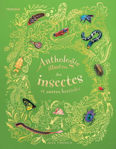 ANTHOLOGIE ILLUSTREE DES INSECTES ET AUTRES BESTIOLES