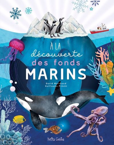 A LA DECOUVERTE DES FONDS MARINS