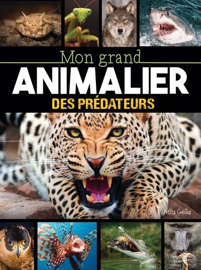 MON GRAND ANIMALIER DES PREDATEURS