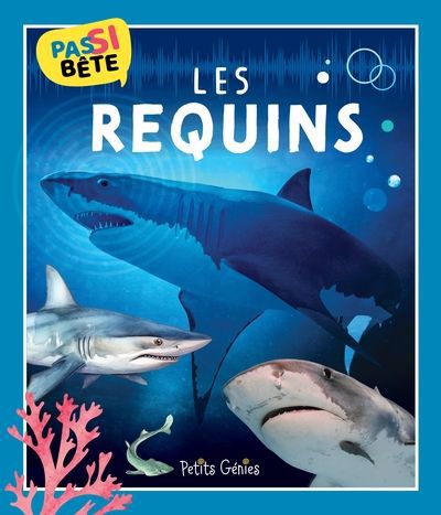 PAS SI BETE  LES REQUINS