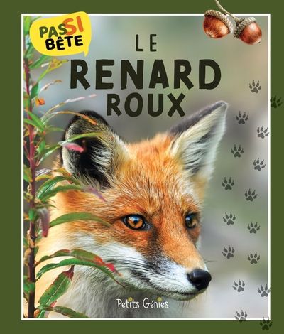 PAS SI BETE  LE RENARD ROUX