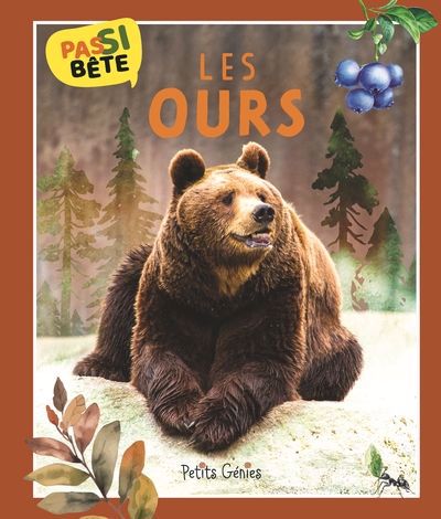 PAS SI BETE  LES OURS