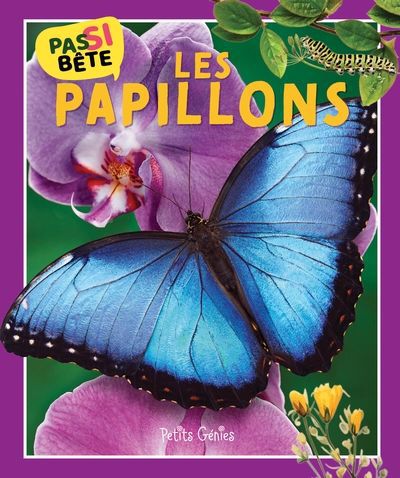 PAS SI BETE  LES PAPILLONS