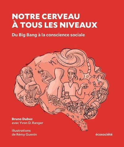 NOTRE CERVEAU A TOUS LES NIVEAUX