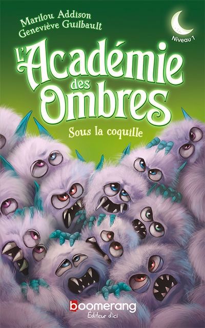 ACADEMIE DES OMBRES   SOUS LA COQUILLE  NIVEAU 1