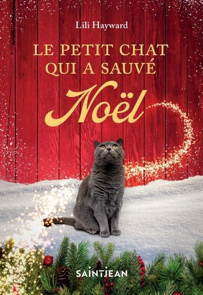 PETIT CHAT QUI A SAUVE NOEL