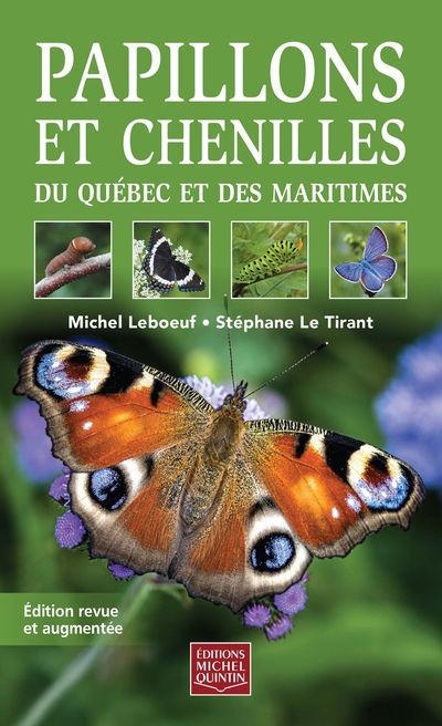 PAPILLONS ET CHENILLES DU QUEBEC ET DES MARITIMES N.E.