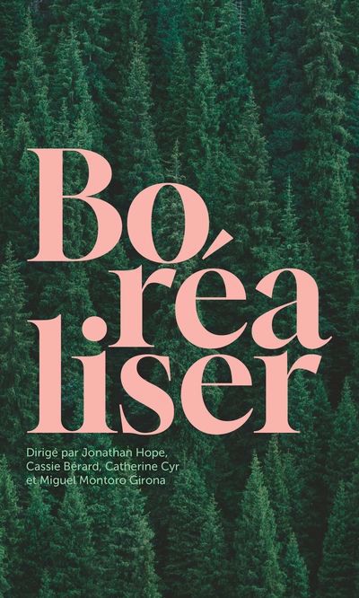 BOREALISER