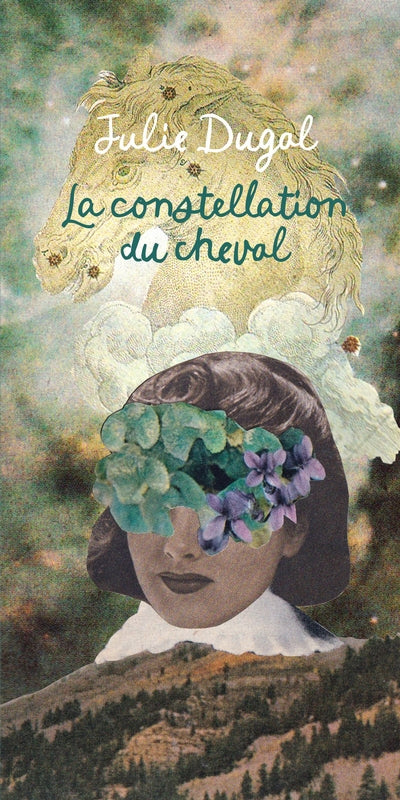 CONSTELLATION DU CHEVAL