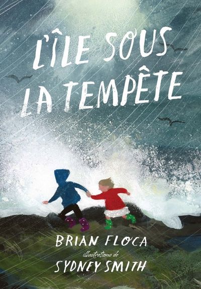 ILE SOUS LA TEMPETE