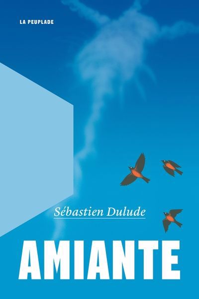 AMIANTE | SEBASTIEN DULUDE