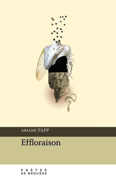 EFFLORAISON