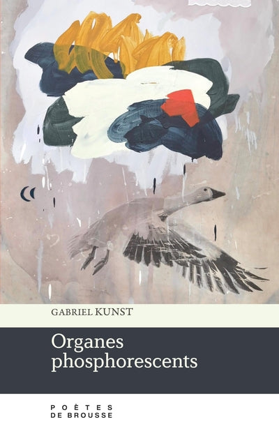 ORGANES PHOSPHORESCENTS