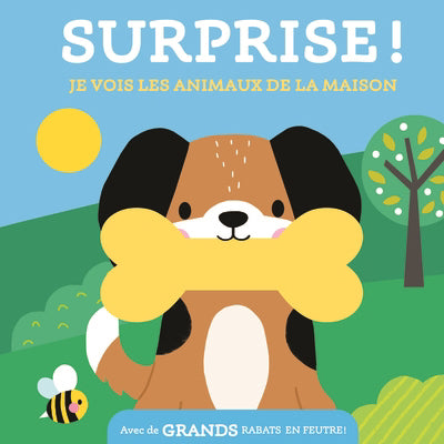 JE VOIS LES ANIMAUX DE LA MAISON