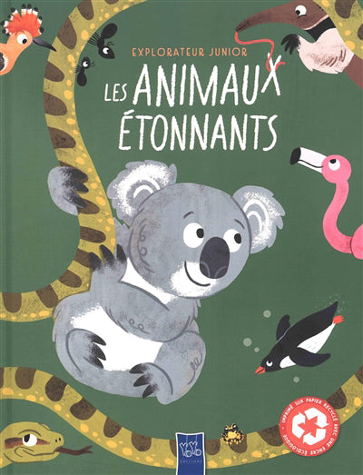 ANIMAUX ETONNANTS