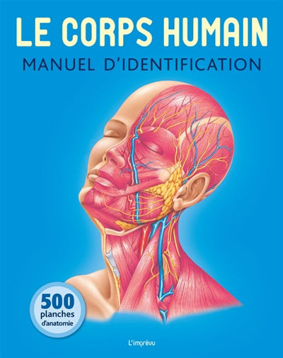 CORPS HUMAIN :MANUEL D'IDENTIFICATION