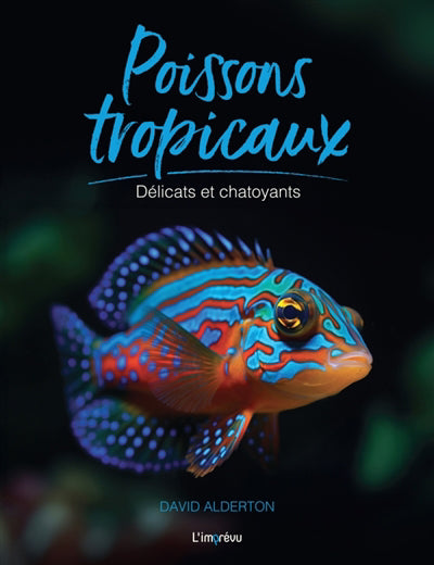 POISSONS TROPICAUX