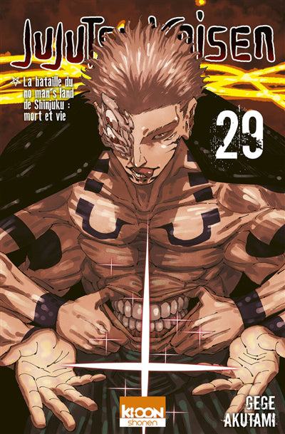 JUJUTSU KAISEN T29