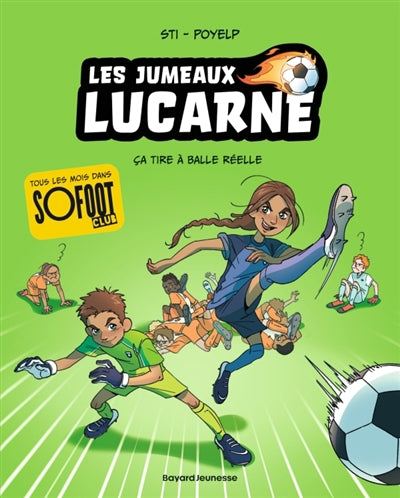 JUMEAUX LUCARNES T01