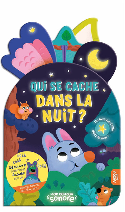 QUI SE CACHE DANS LA NUIT ?