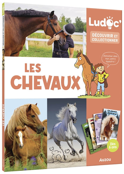 CHEVAUX BIENVENUE DANS MON CETRE EQUESTRE