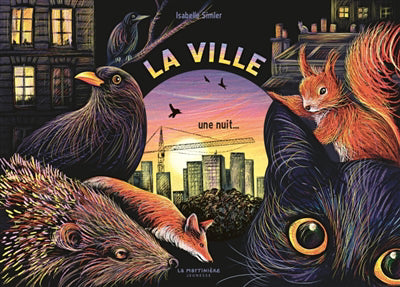 VILLE , UNE NUIT.....