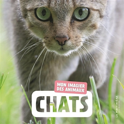CHATS / MON IMAGIER DES ANIMAUX