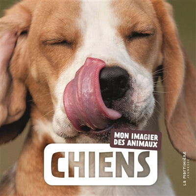 CHIENS / MON IMAGIER DES ANIMAUX