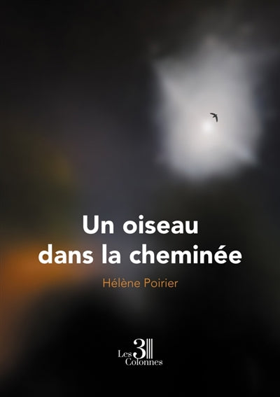 oiseau dans la cheminée