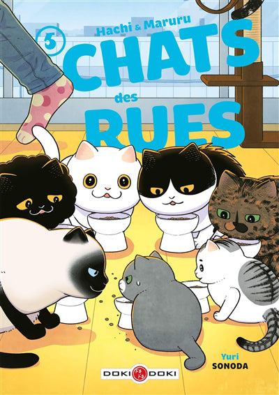 HACHI ET MARURU T05 -CHATS DES RUES