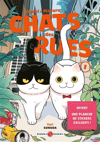 HACHI ET MARURU T01 -CHATS DES RUES -NE