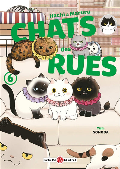 HACHI ET MARURU T06 CHATS DES RUES
