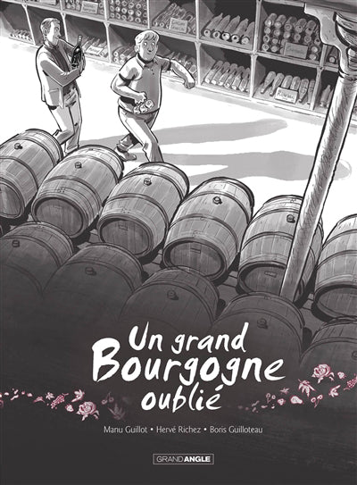 GRAND BOURGOGNE OUBLIE -HISTOIRE COMPLETE