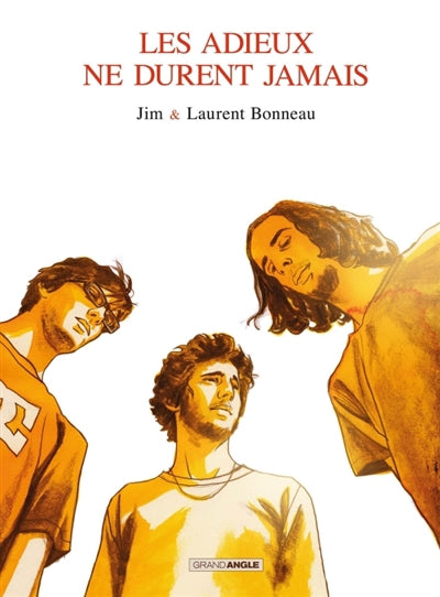 ADIEUX NE DURENT JAMAIS -HISTOIRE COMPLETE