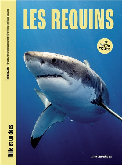 REQUINS