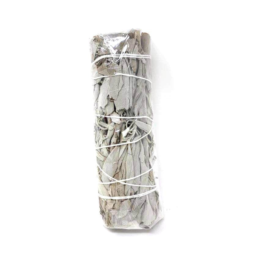 SAUGE BLANCHE CALIFORNIENNE 5" 73722/3