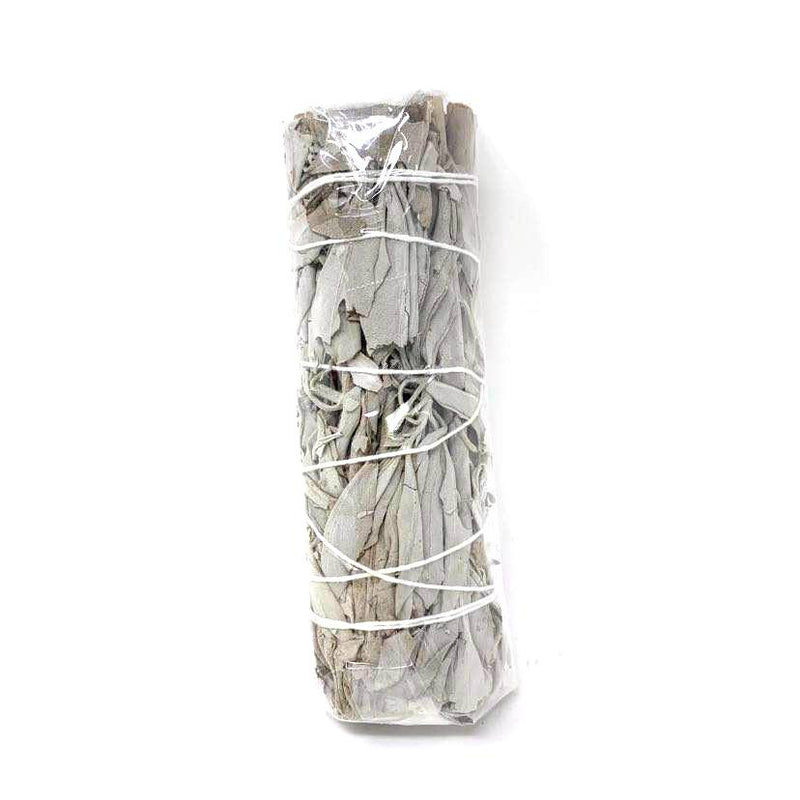 SAUGE BLANCHE CALIFORNIENNE 5" 73722/3