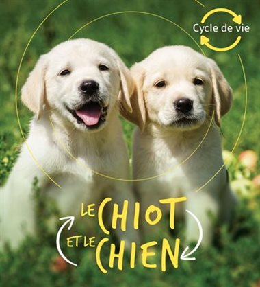 CHIOT ET LE CHIEN