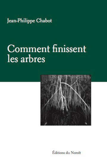 COMMENT FINISSENT LES ARBRES