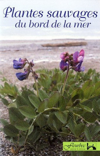 Plantes sauvages du bord de la mer