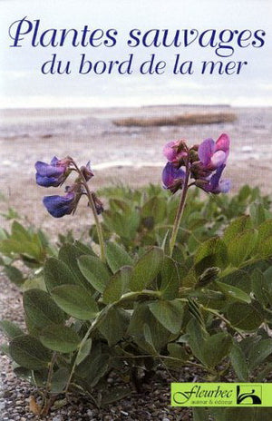Plantes sauvages du bord de la mer