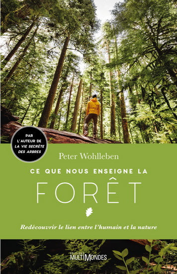 CE QUE NOUS ENSEIGNE LA FORET