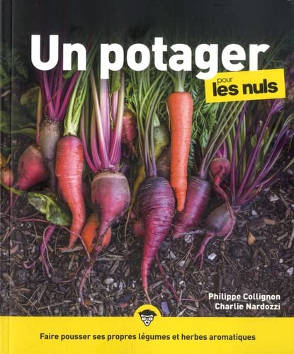 UN POTAGER POUR LES NULS 3E ED.