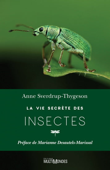 VIE SECRETE DES INSECTES