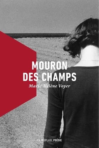 Mouron des champs