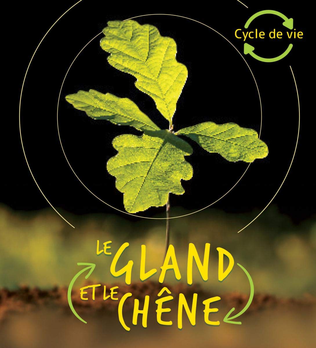 GLAND ET LE CHENE