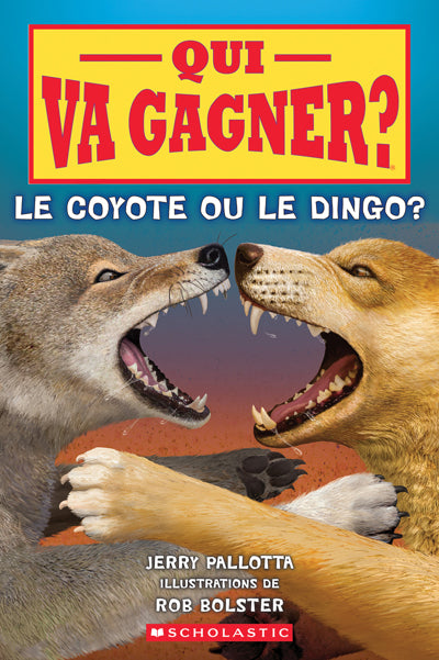 QUI VA GAGNER COYOTE OU LE DINGO