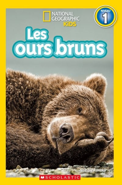 Ours Bruns (Niveau 1)