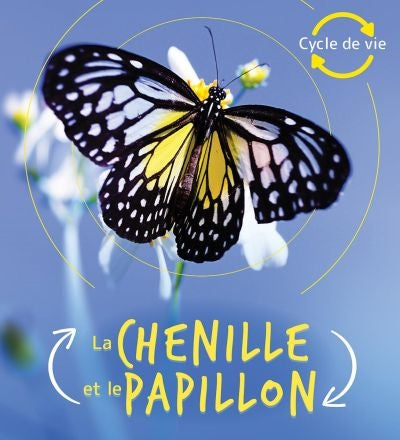 CHENILLE ET LE PAPILLON