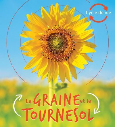 GRAINE ET LE TOURNESOL